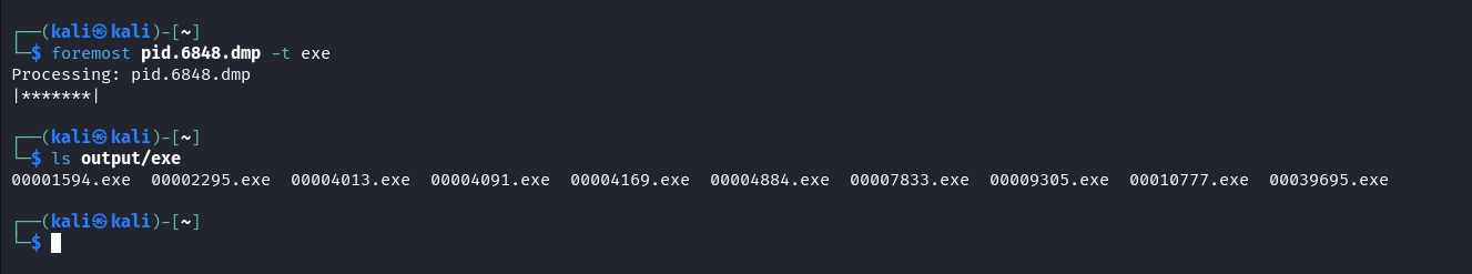 Extracted executables from the process memory