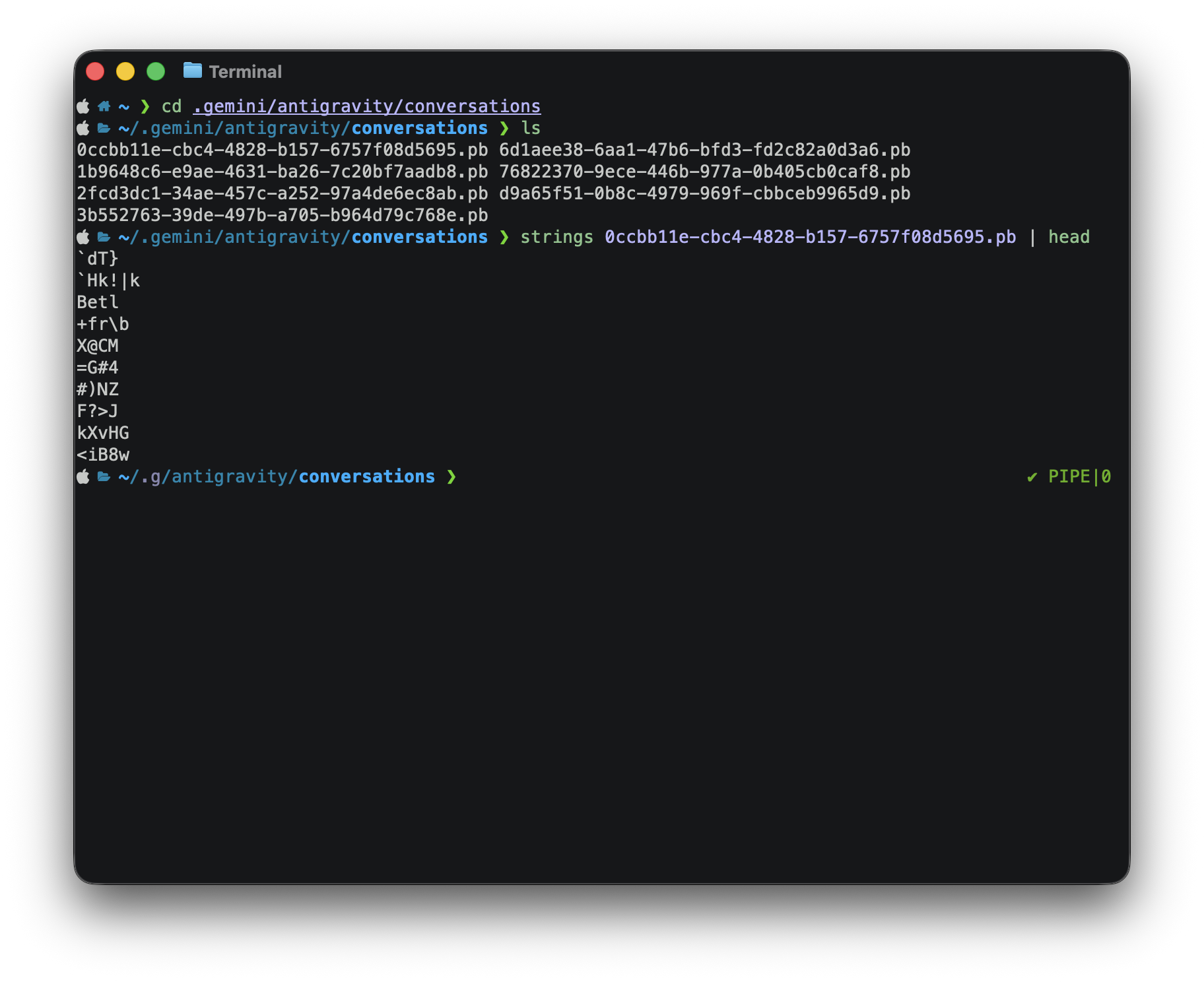 Antigravity - Conversation Files